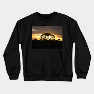 Mundrabilla Morning Crewneck Sweatshirt